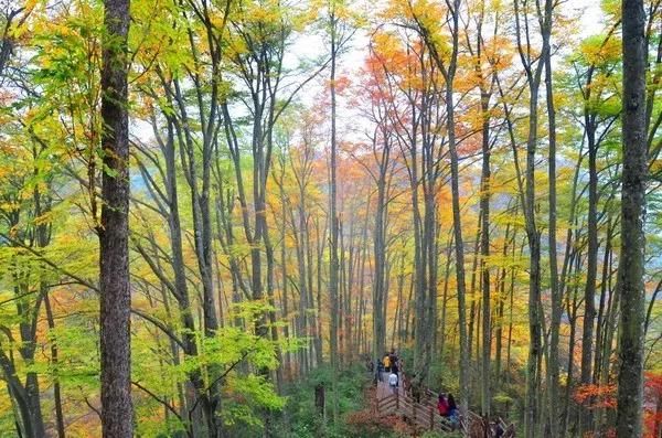 9月开始，这12个地方不可错过!