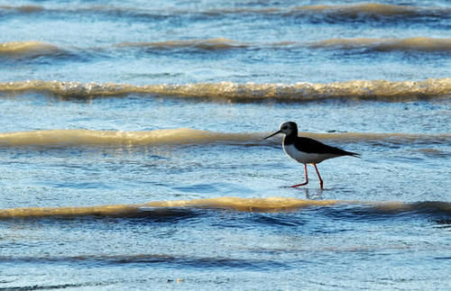  「安庆」安徽继合肥之后，又一座城市有望晋升二线，不是铜陵也