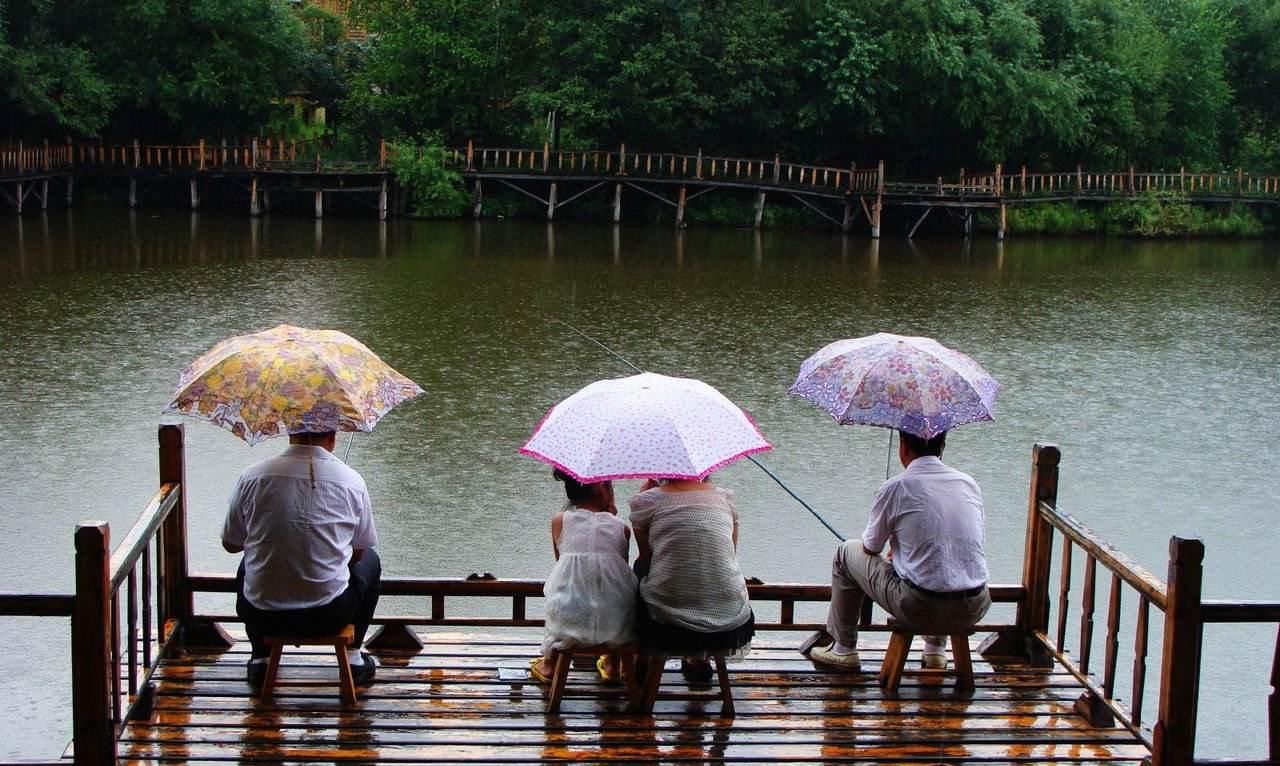  「对象鱼」暮春下雨爆护忙，鱼情贼好把杆杨，简单且渔获好的攻略分享