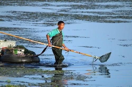  严惩@农村“3查行动”开启，这3种违规行为，一个也不会落下，抓