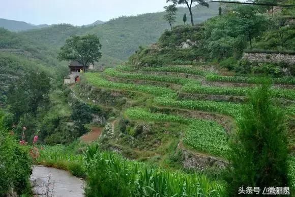 阳泉竟有个这么神奇的村子，石头房子，石头路……