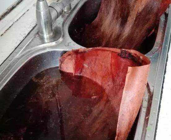  #花友#绿萝虽然很平常，打扮一下也能很惊艳！做一做造型，好看不少哦！