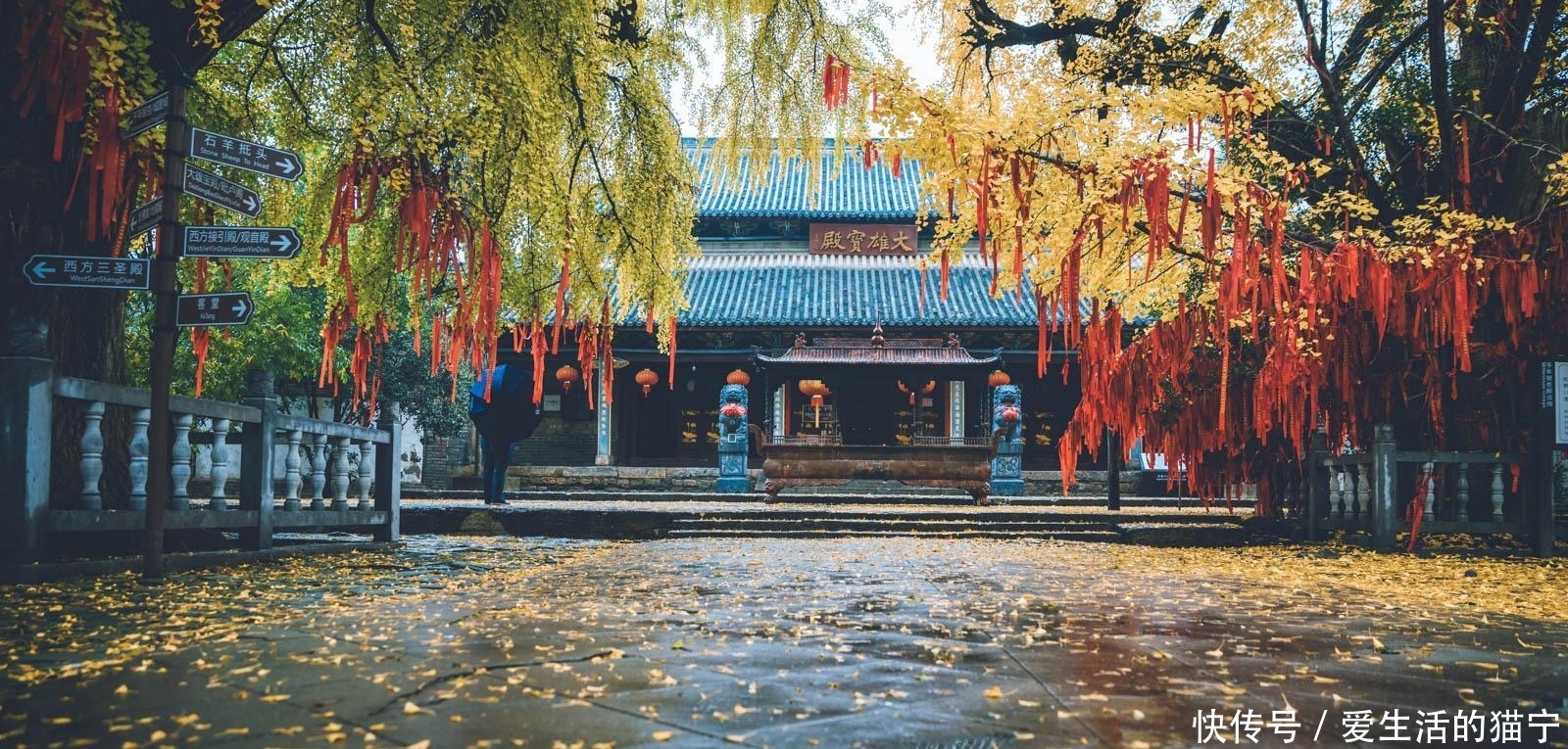 安徽最美秋色即将上线 三个人少景美的赏秋胜地 错过要再等一年