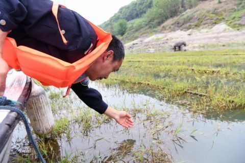  [新家]视窗 | 长江鱼的新家