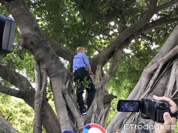 快讯／韩国瑜视察登革热“登上树梢”！飞爬3层楼高 底下惊喊：市