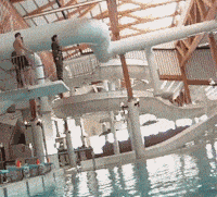 #GIF#爆笑GIF动态图:吓得我赶紧打了一套螳螂拳