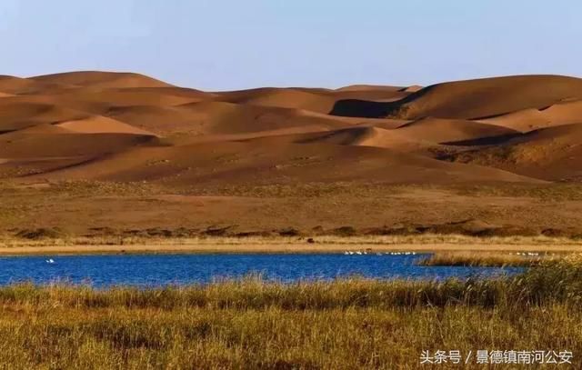 额济纳：中国最美的秋天！
