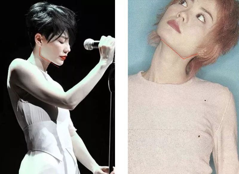 王菲首个天价综艺秀被喷走下神坛?