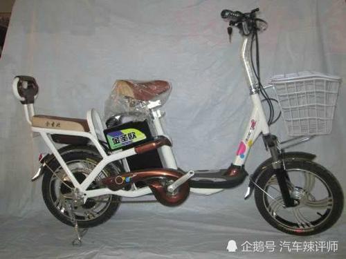 新标电动车速度太慢，车主受不了这“龟速”？专家：要脚蹬干啥？