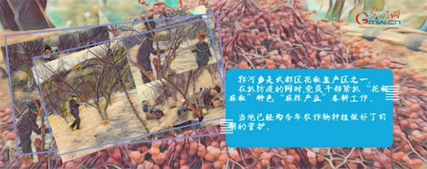  [春光]战疫故事“绘”丨战疫情不负春光 脱贫一线播撒希望
