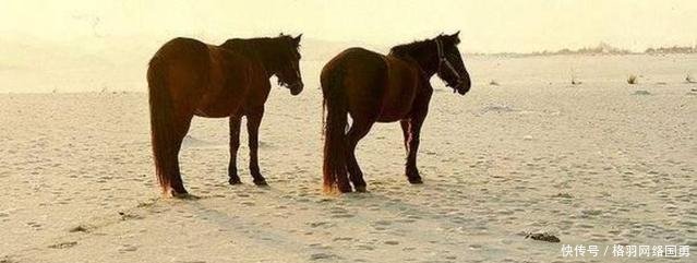 最值钱的沙漠在中国，曾经日本人想用大米换沙子，我国直接拒绝！