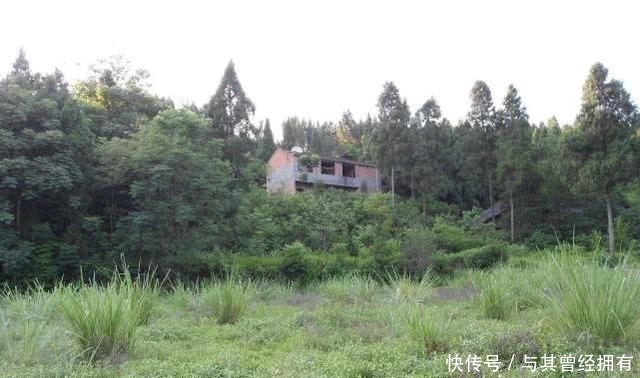  [提高农村]2020年农村土地整治范围扩大，针对四类土地清理，两