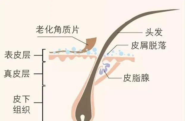  『脱妆』比脱妆还尴尬的事：被别人闻到自己的头油味……