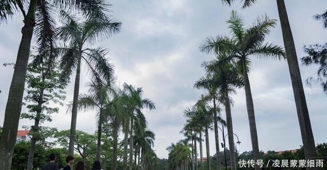 旅游厦门大学，食堂却坐满大爷大妈，网友学生该不该出借饭卡