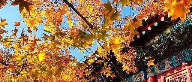 一入秋，中国这个地方就要美成天堂，这个国庆去美爆了！