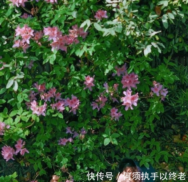  #感谢#感谢有你，王俊凯，愿你的俊德才情，伴你一路凯歌，伴我一路向上