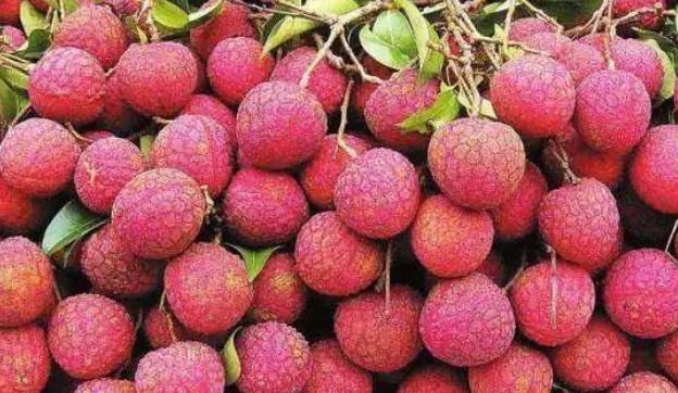 这种水果在南方烂大街，收购价低至5毛钱一斤，北方卖十几元一斤