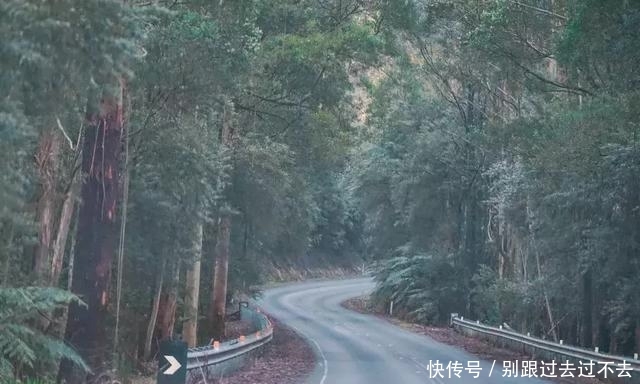 上一秒海水下一秒森林，最美的海滨公路，竟是为纪念一战而建