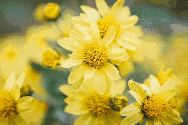 又一波冷空气！今日降温，下周更猛！最低5℃！接下来北京天气是.