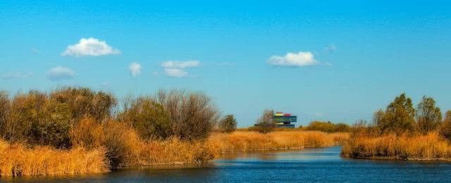 淡水鱼在海水里是不成活的，那黄河水流入渤海后黄河鱼都哪去了？