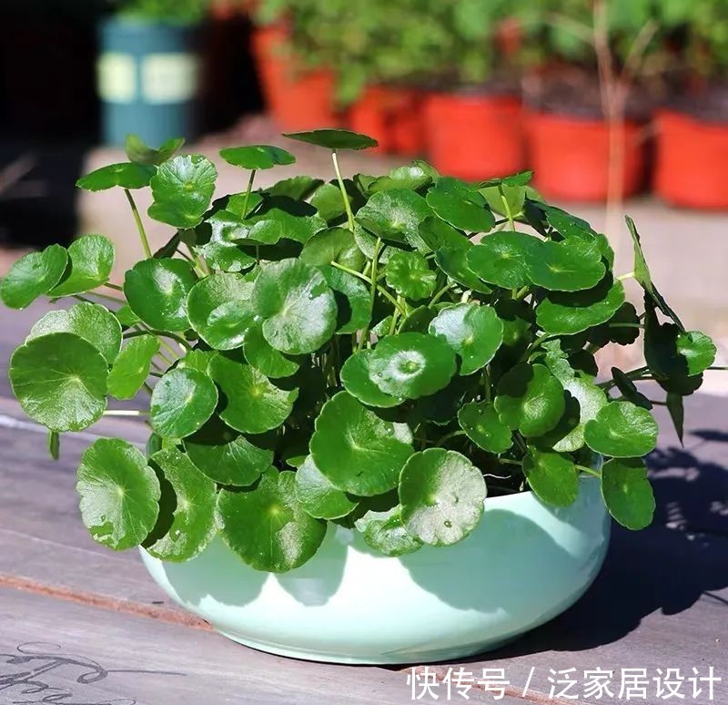  #春天#想要小钱变大钱，少钱变多钱，你一定要get的几个技巧