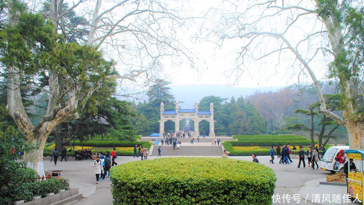 到南京赏花，这几个地方不可错过，尤其城墙内外，玄武湖畔，最美