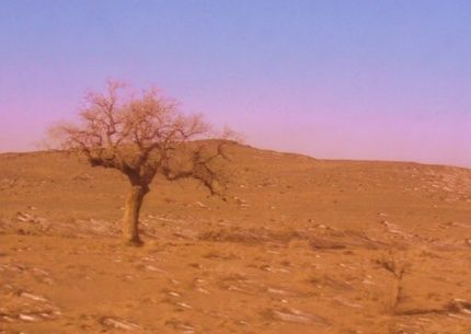  【邻国】它是中国的邻国，今逐渐被沙漠“吞噬”，却没勇气找中