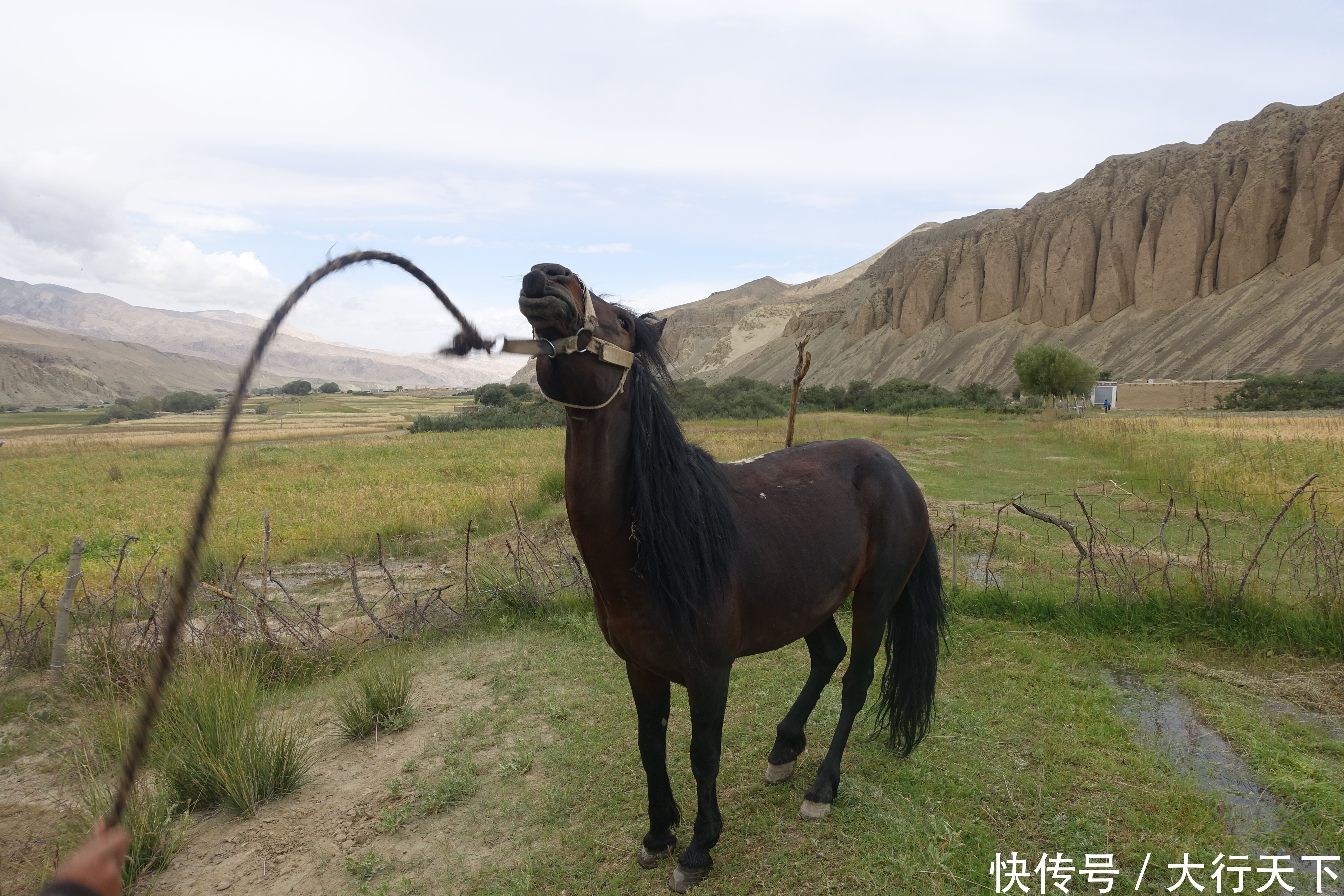  新疆@这个省份的面积相当于10个河南、16个江苏，不愧是“大新疆