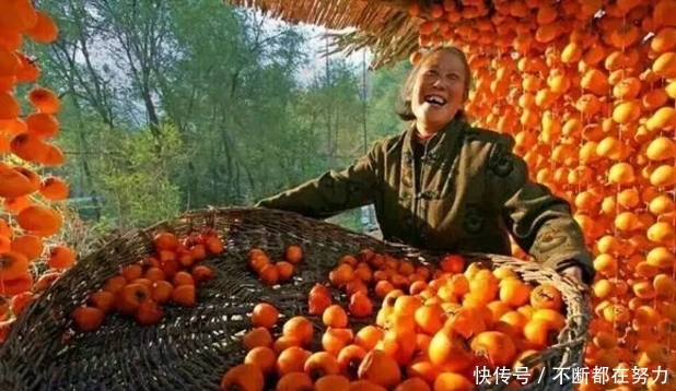  「老无所依」农民也将有退休金了，试点地区已经开放，不用再担