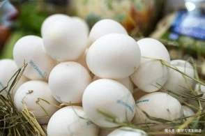 你了解真正的印度吗细说印度“八条”,打破中国游客固有印象!