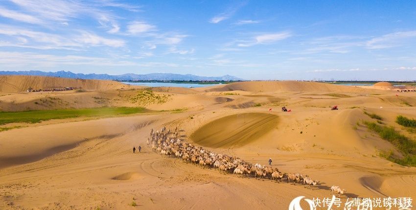 宁夏沙湖5A级景区推出金秋免票优惠措施