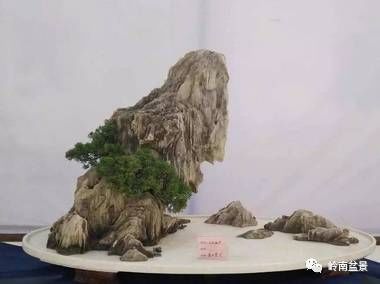 盆景构景十种风格