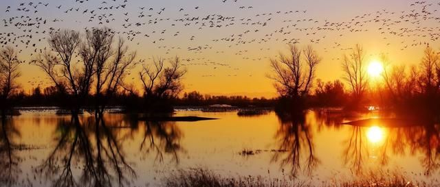 实用摄影知识，这些摄影口诀总有你要的