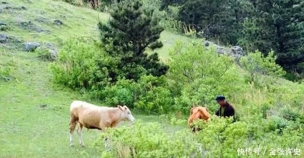 「农村」老家的房子，穷死都不能卖