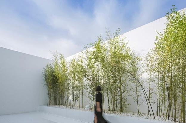 庭院竹子50张图告诉你，花园里种竹子有多高大上，气质瞬间提升