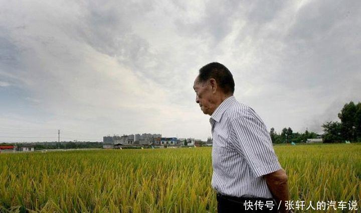 沙漠里种出海水稻，该被全国人民尊重的袁隆平老人，威武！