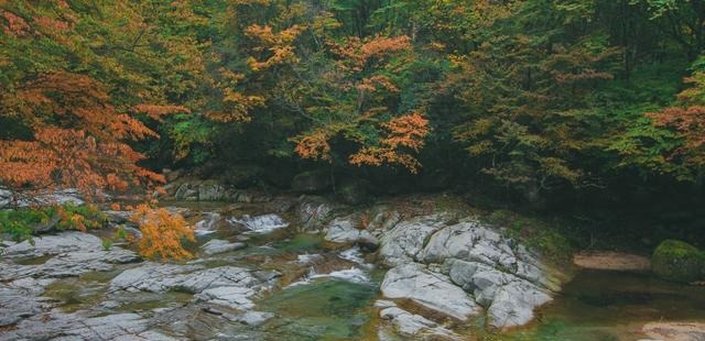 四川光雾山景区秋色来袭，这样的童话世界可以安排了