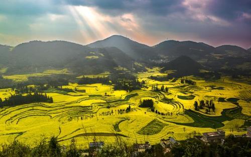 全国最早的春天不在春城昆明，而在云南这个小县城里