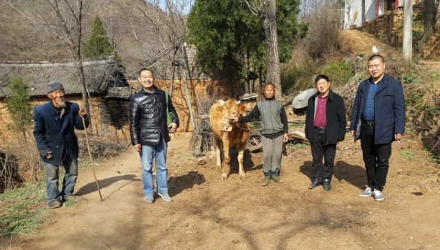  【明年】牛价上涨，肥牛15一斤，为何养殖户半喜半忧，直呼明年