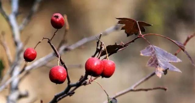 秋日里，山西20处绝美赏秋胜地美的像仙境