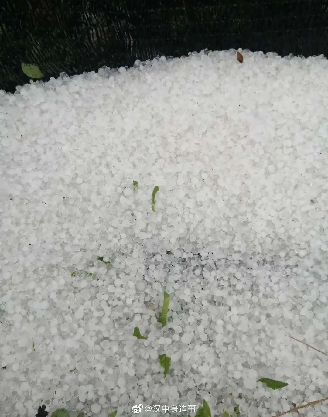  「陕西」今日立夏！陕西这里下冰雹了！西安的雨终于要来了……