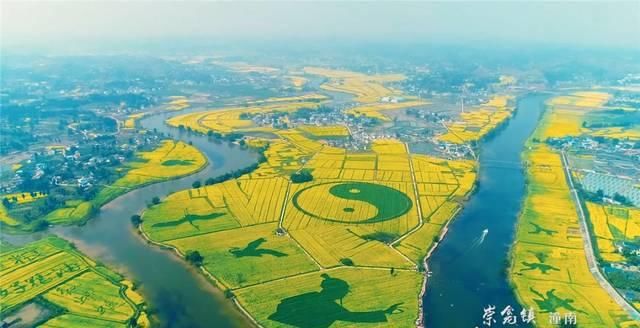 重庆彻底火了！又拿全国第一，网红城市当之无愧！