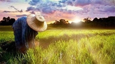  「确权」2020年土地确权收尾了，这3件事情要及时办理，后期就是