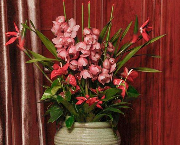 #内容#乡间趣事!平日爱养兰花,那定不能错过这“4种”,花朵1串接1串,香气扑鼻