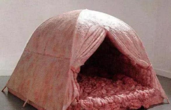 世界上最恶心的帐篷,只要睡一晚就能7万元,但却没人挑战成功