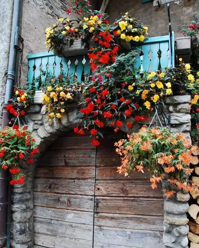 围观欧洲庭院，生活明朗，万物可爱