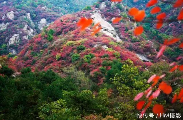 秋天洛阳12处景点,我劝你千万不要来,太美了