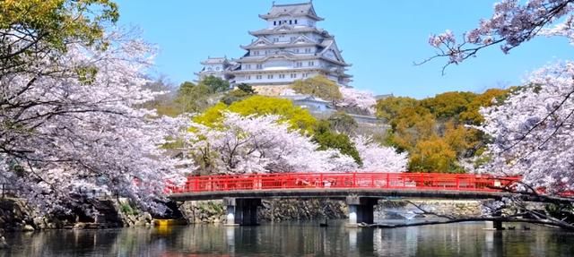 沙特对中国等49国敞开大门！日俄吸引中国游客，美澳旅游业却低迷