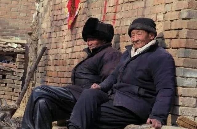 农民那么多公粮白交了？连养老金都拿不到，到底谁该为此负责？