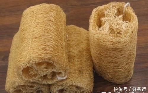  「用来」丝瓜络用来洗碗可惜了，放开水里烫一烫，还有厉害作用，太棒了